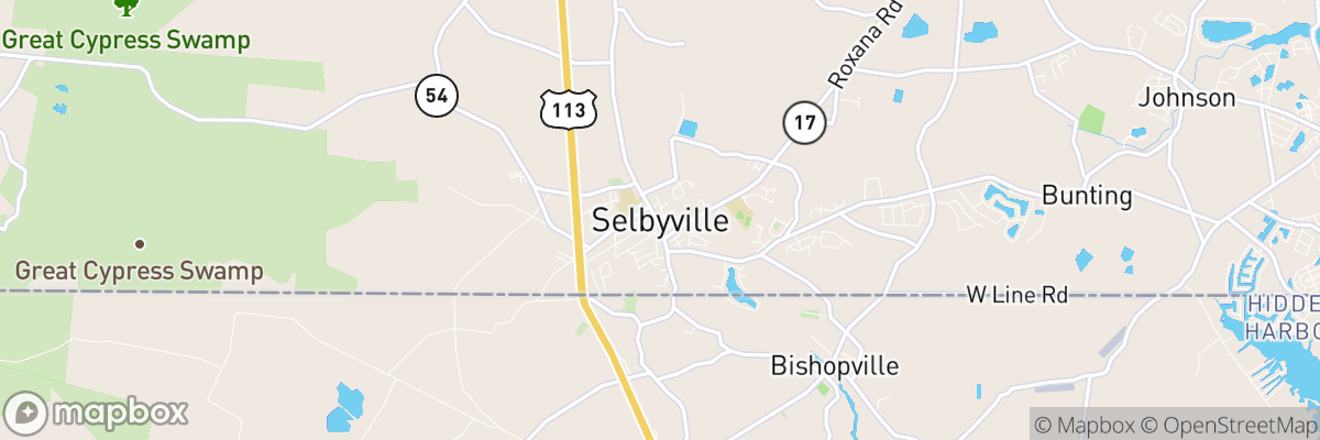 Selbyville, Delaware map