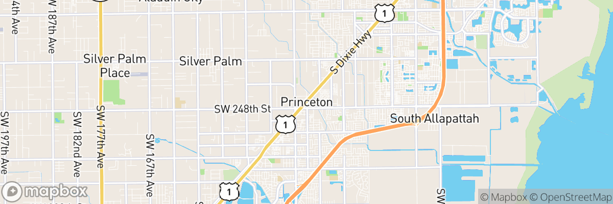 Princeton, Florida map