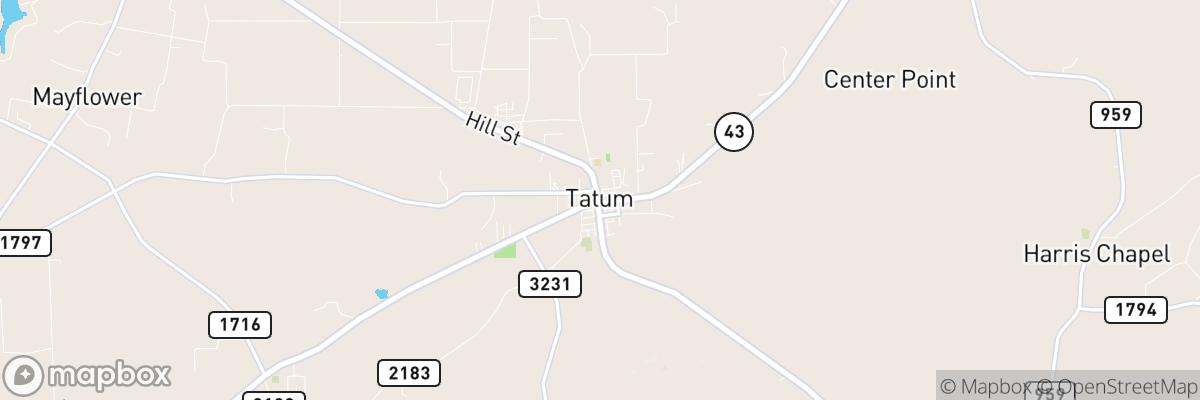 Tatum, Texas map