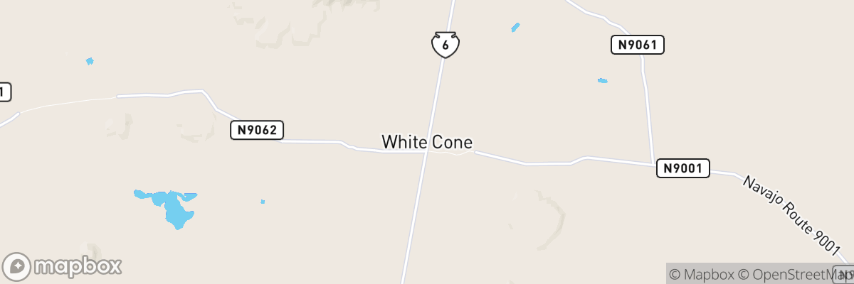 White Cone, Arizona map