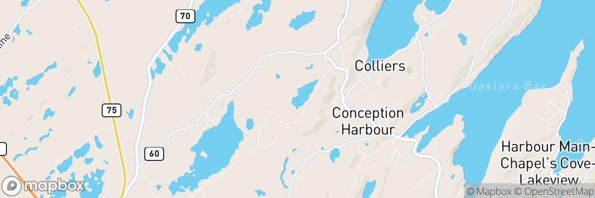 Colliers, Newfoundland and Labrador map