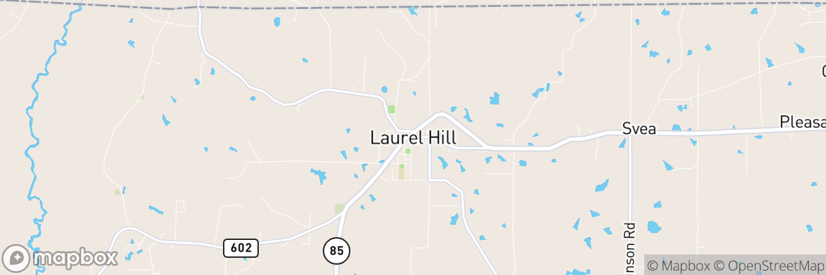 Laurel Hill, Florida map