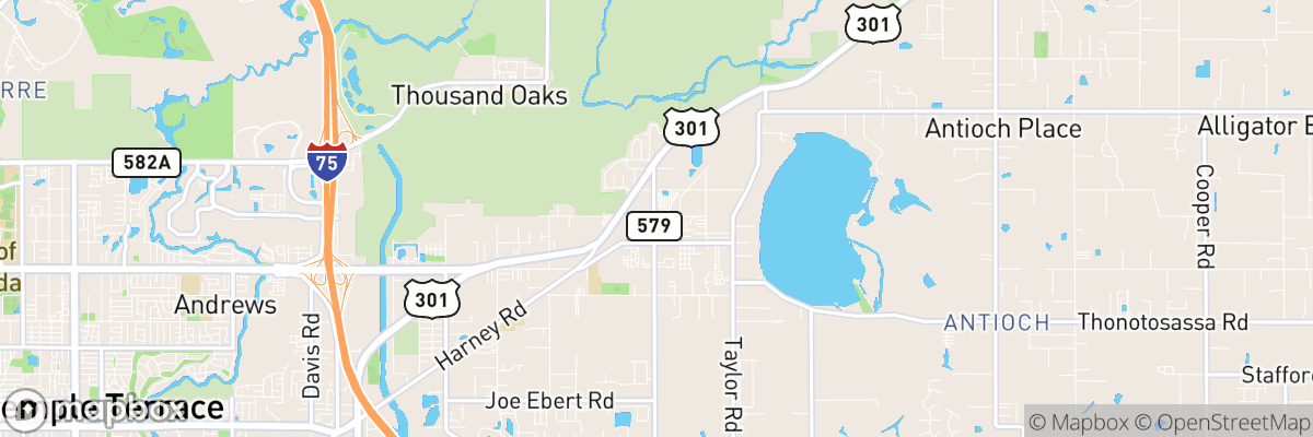 Thonotosassa, Florida map