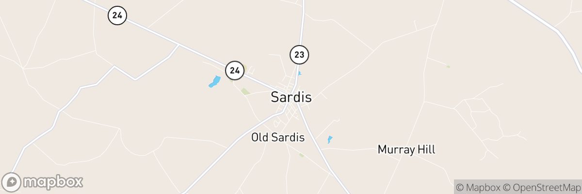 Sardis, Georgia map