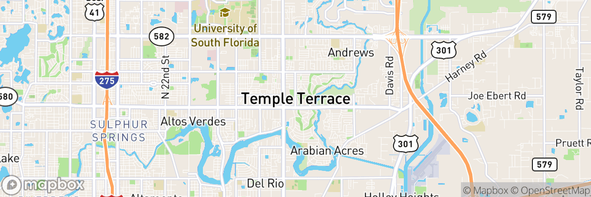 Temple Terrace, Florida map