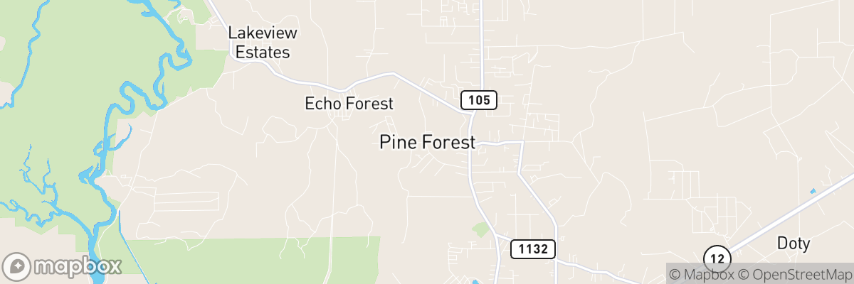 Pine Forest, Texas map