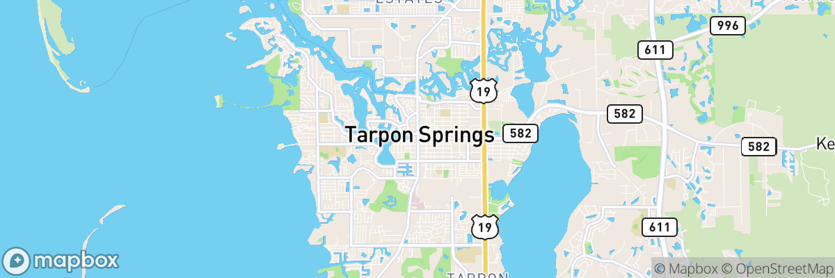 Tarpon Springs, Florida map