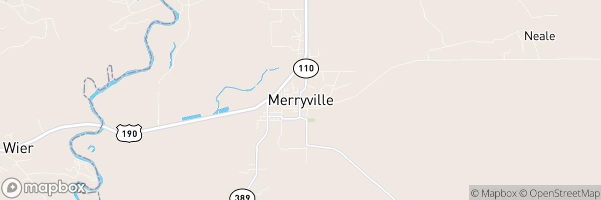 Merryville, Louisiana map