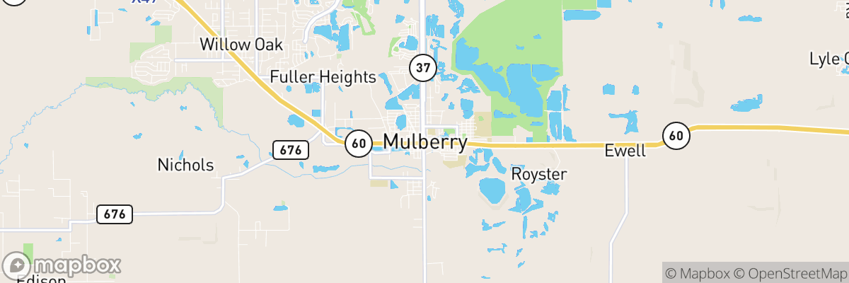 Mulberry, Florida map