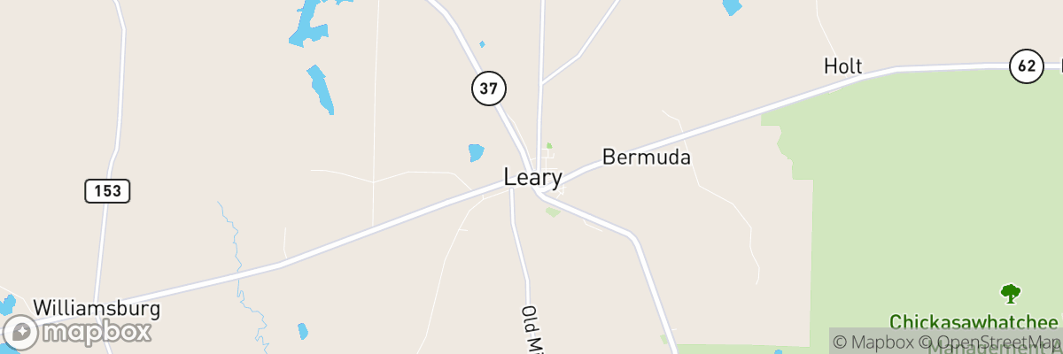 Leary, Georgia map