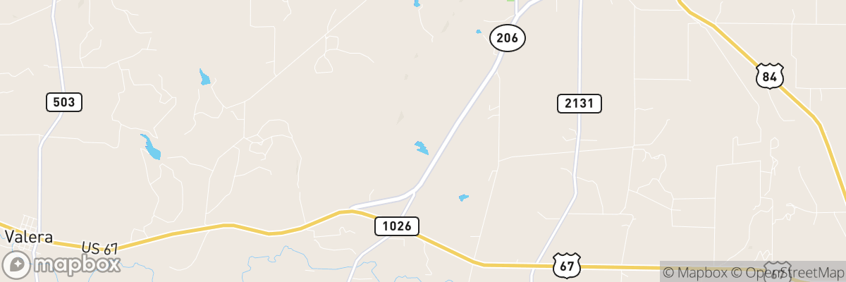 Coleman County, Texas map