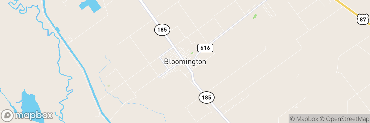 Bloomington, Texas map