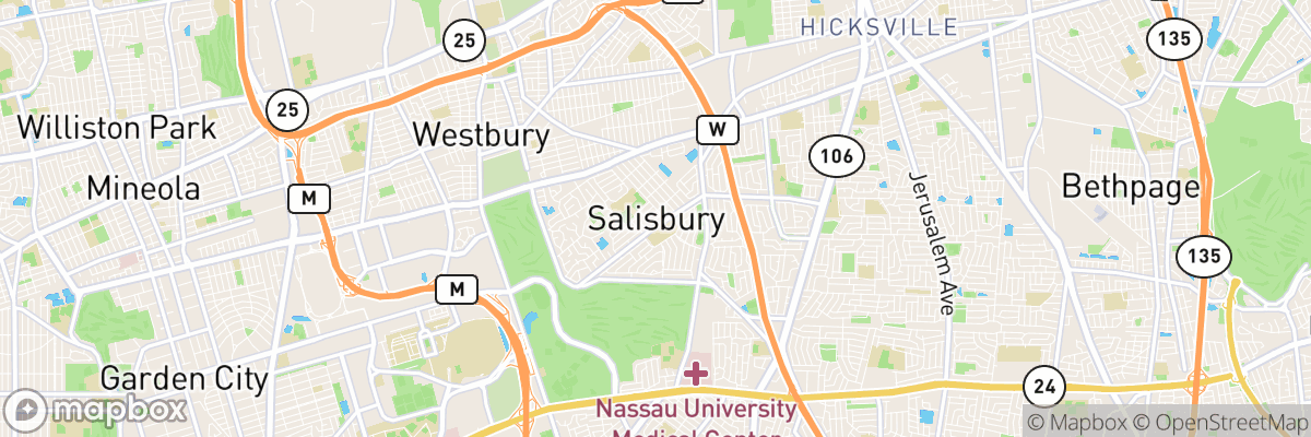 Salisbury, New York map