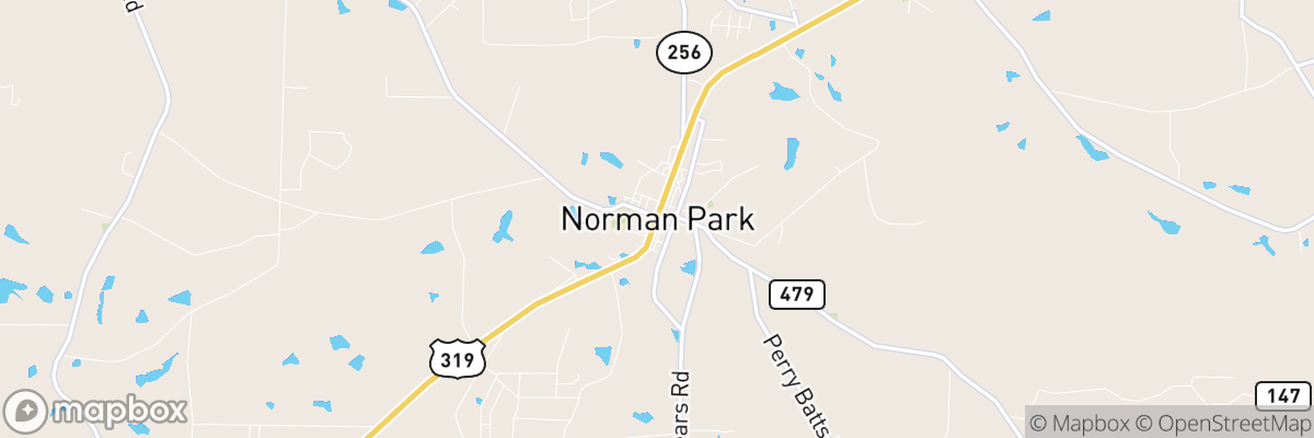 Norman Park, Georgia map