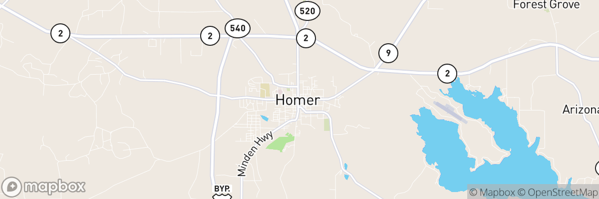 Homer, Louisiana map