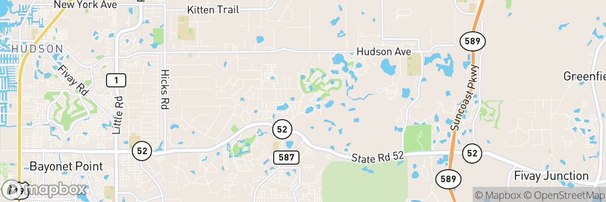 Meadow Oaks, Florida map