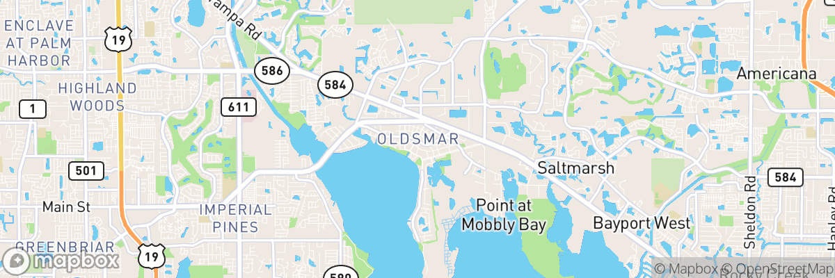 Oldsmar, Florida map