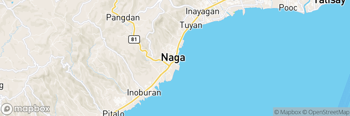 Naga, Central Visayas map