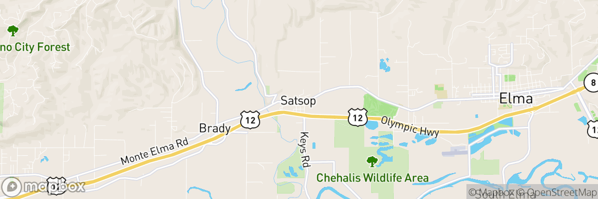 Satsop, Washington map