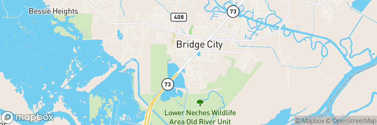 Bridge City, Texas map