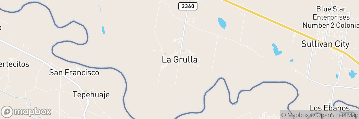 La Grulla, Texas map