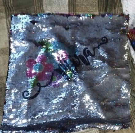 Photo of free Sequin Pillow for "Mira" (Ardsley) #1