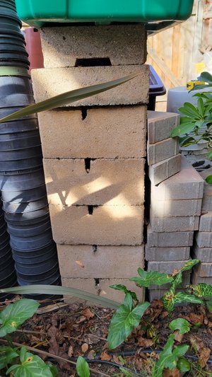 Photo of free Five Standard Versa-lok Blocks (Hayward Hills)