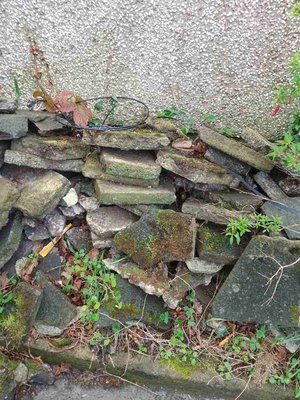 Photo of free Old paving stones (BT12)