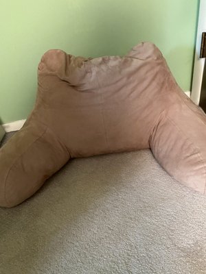 Photo of free Large pillow (Lower Paxton Twnshp 17109)