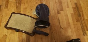 Photo of free Cat scratcher and play tunnel (South beacon hill)