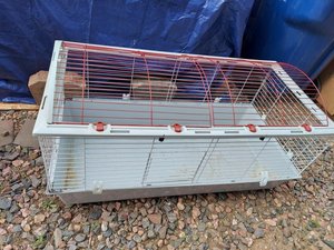 Photo of free Living world cage (Highlands Ranch)