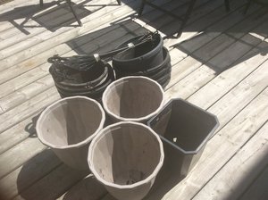 Photo of free Plastic Pots for Gardening (Greenfield, South Edmonton)