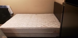 Photo of free Entire bed (Smyrna)
