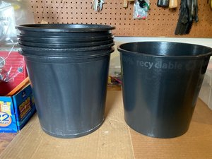 Photo of free Six floral buckets (Pembroke Pines)