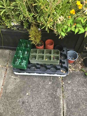 Photo of free Various used containers and plastic pot (BT4)