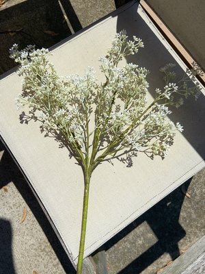 Photo of free White artificial flowers (Wilmette - Lake & Illinois)