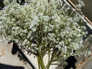 Photo of free White artificial flowers (Wilmette - Lake & Illinois)