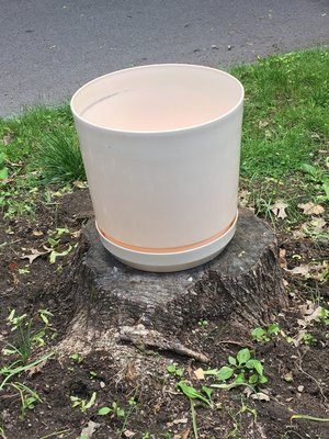Photo of free Curb alert: Giant planter (City east: Park-Monroe Ave)