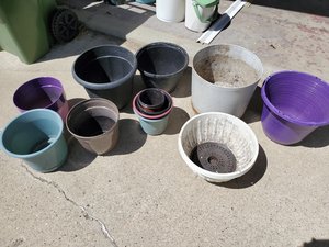 Photo of free Random flower pots (Dovercourt)