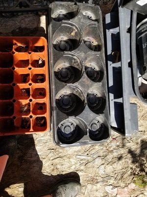 Photo of free Trays for potted plants (Mississauga Ontario Canada)