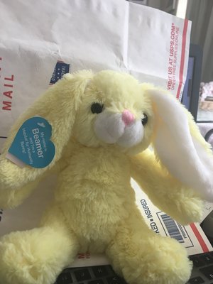 Photo of free New with tags Soft Yellow Bunny (Chelsea)