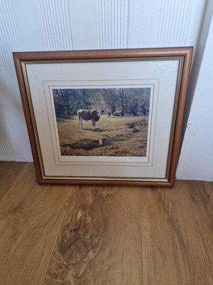 Photo of free Framed cow picture - Frank Weight (Parkstone BH14)