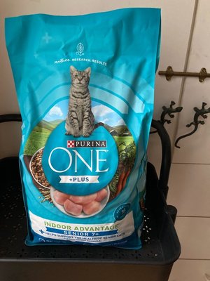 Photo of free Bag of dry catfood for senior cats (Wallingford)