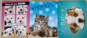 Photo of free Cat/Dog Posters (Almaden Valley/Graystone Elem)