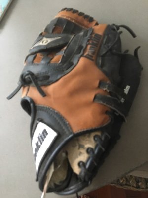 Photo of free Baseball glove (Altamonte springs)