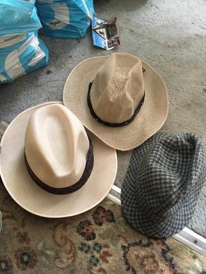 Photo of free 4 New Good Quality Hats (Hockley SS5)
