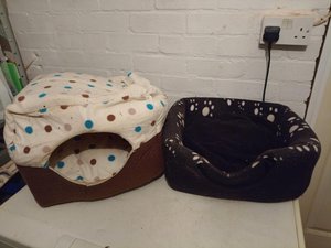 Photo of free Cat basket, litter tray and beds (Maidstone)