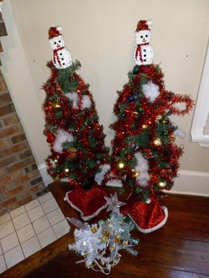 Photo of free Small Christmas Trees (Historic Springfield District)