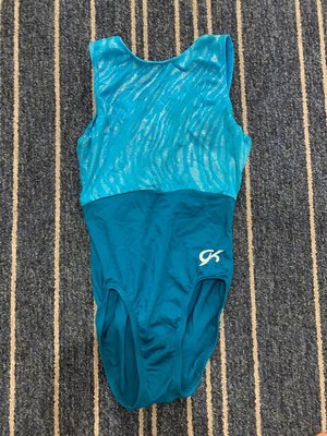 Photo of free Gymnastics body suit (Victoria Park and Sheppard)