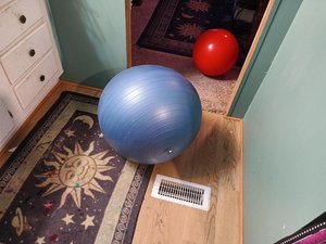 Photo of free Yoga balls (76208)